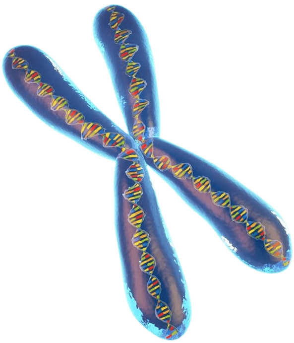 Biology and Science